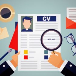 Illustration of a CV being analyzed used in a article about pursuing MBA after gaining work experience